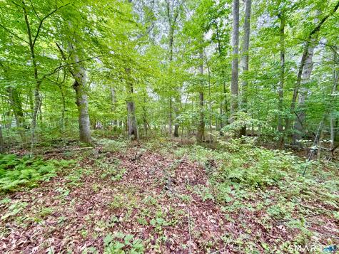 228-B Mile Creek Road Old Lyme CT 06371