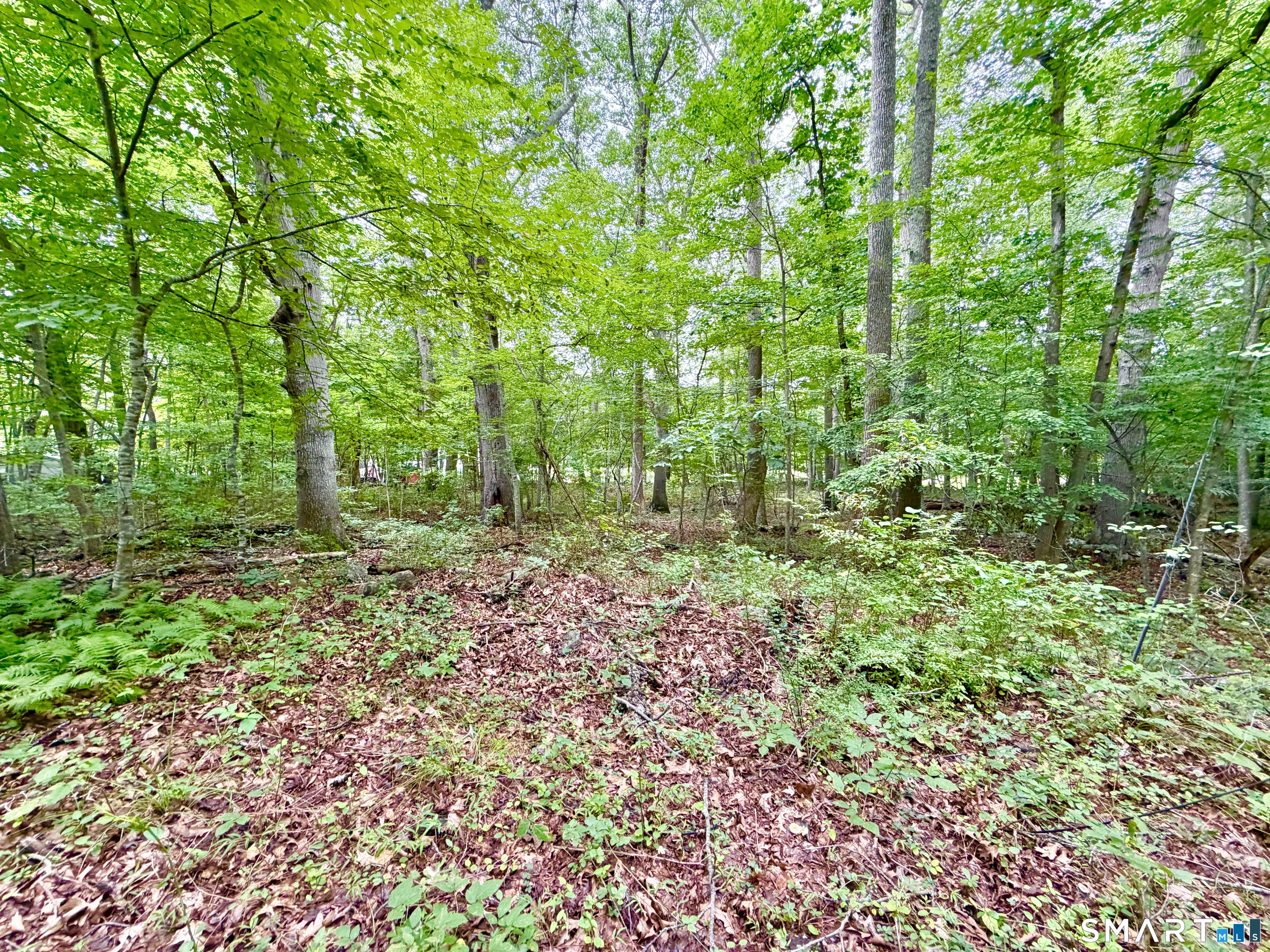 228-B Mile Creek Road Old Lyme CT 06371