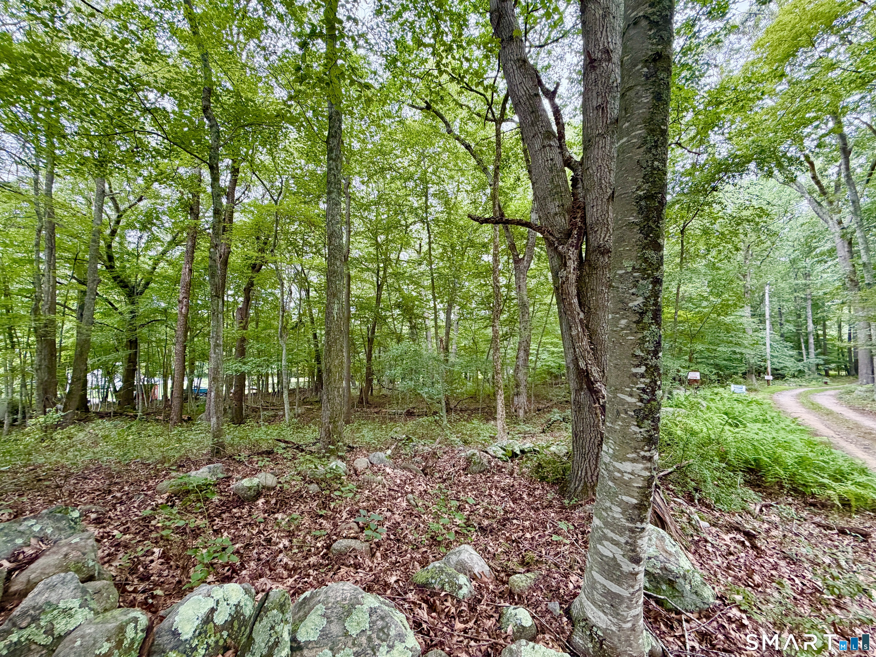 228-B Mile Creek Road Old Lyme CT 06371