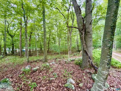 228-B Mile Creek Road Old Lyme CT 06371