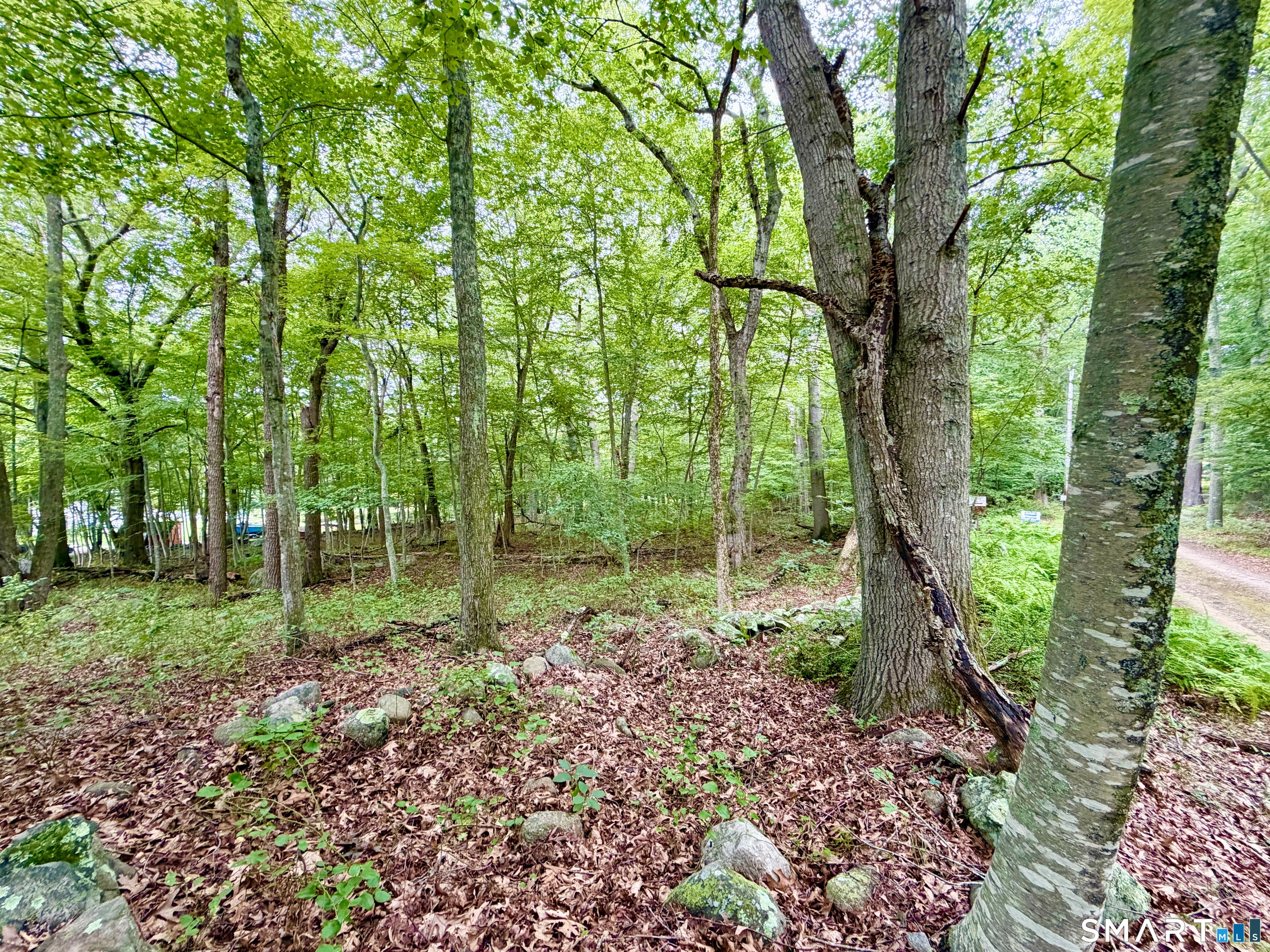 228-B Mile Creek Road Old Lyme CT 06371