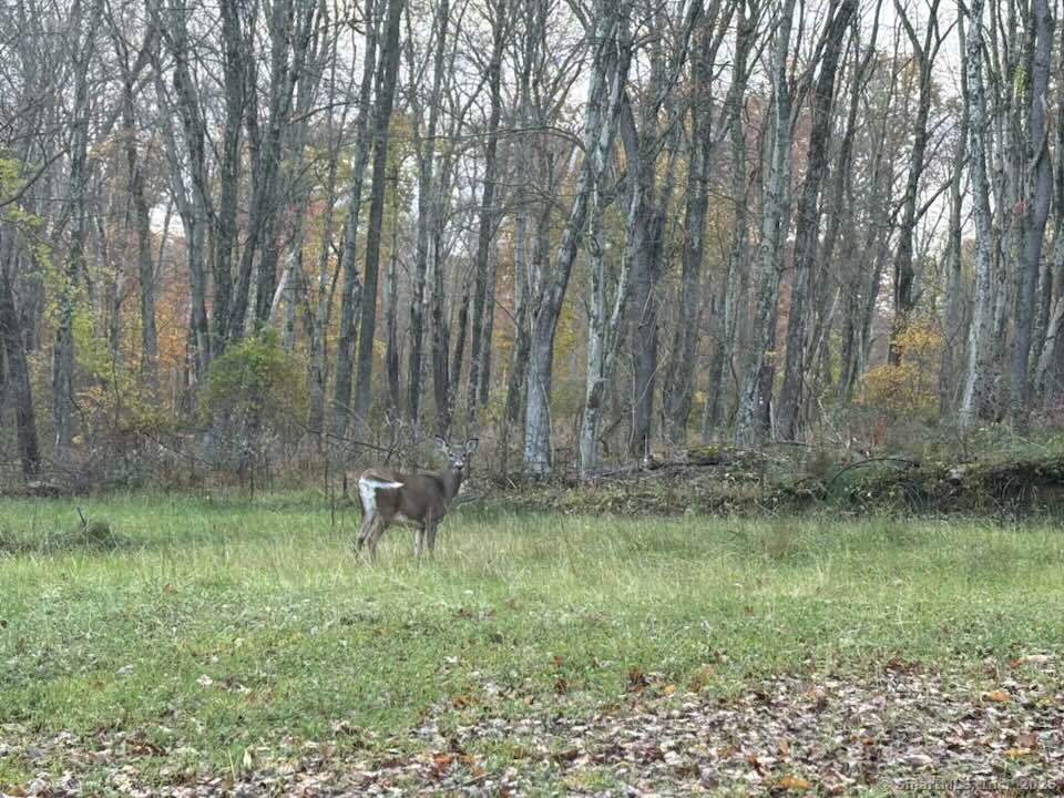 64 Whippoorwill Road Franklin CT 06254