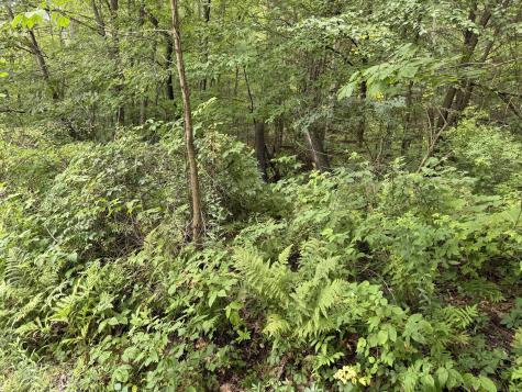 Sally Burr Road Litchfield CT 06759