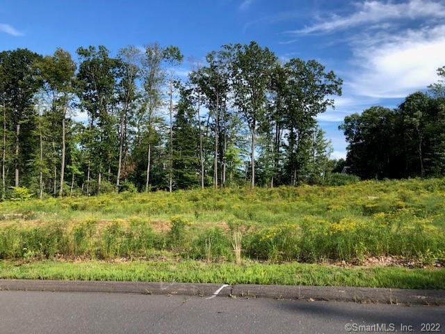 473 Winding Ridge Southington CT 06489