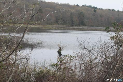 Nepaug Road Burlington CT 06013