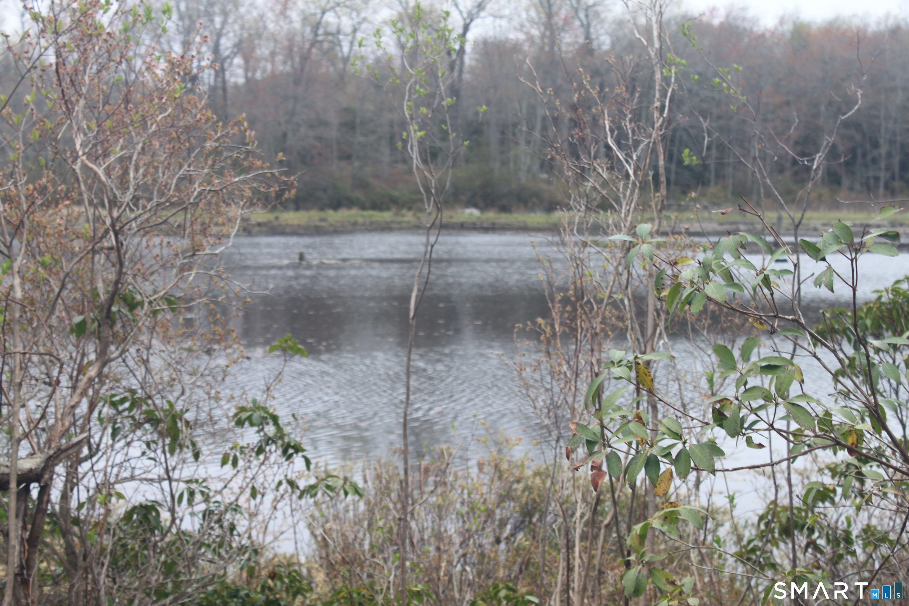 Nepaug Road Burlington CT 06013