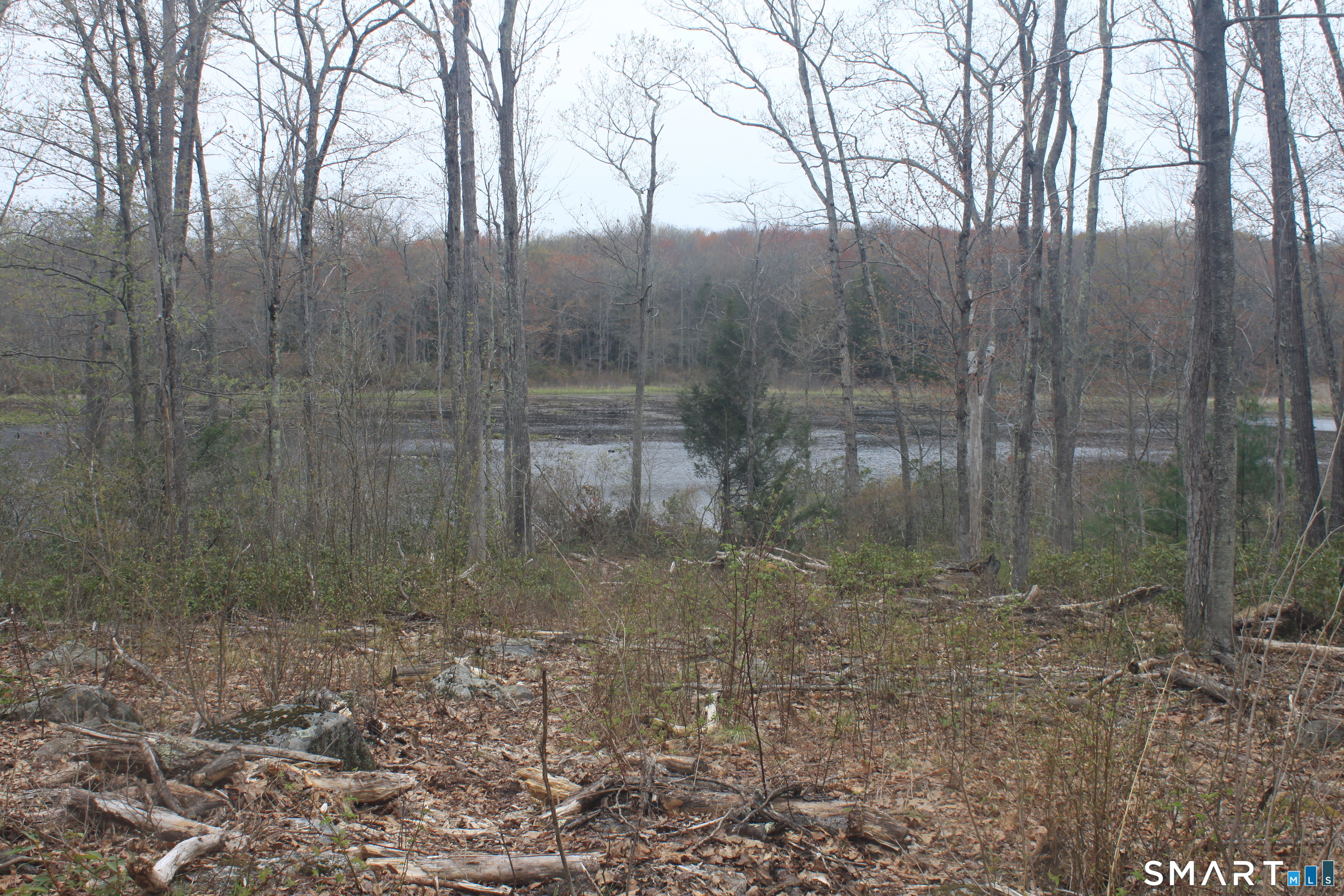Nepaug Road Burlington CT 06013