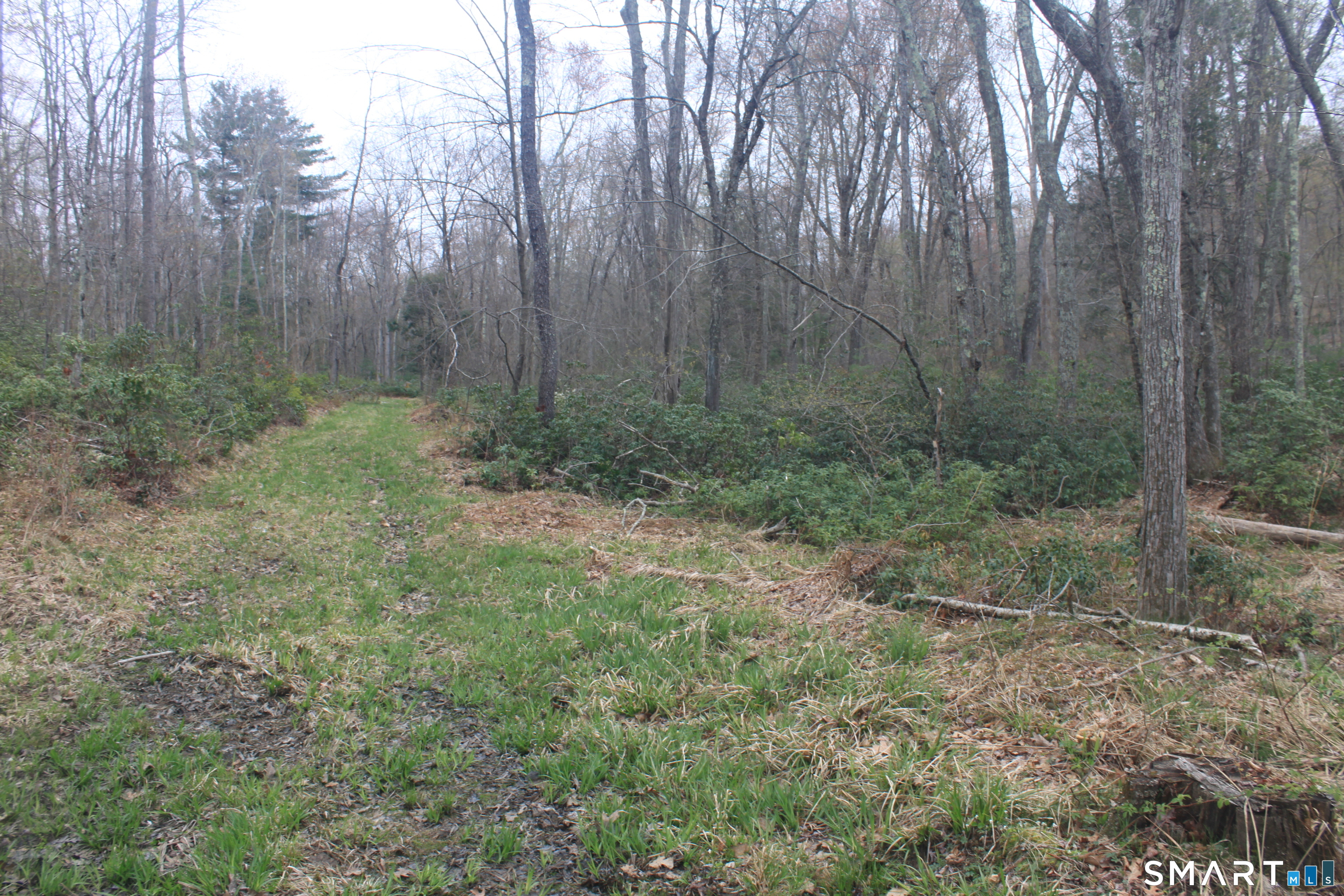 Nepaug Road Burlington CT 06013