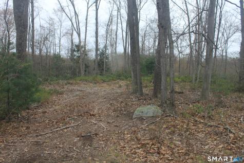 Nepaug Road Burlington CT 06013