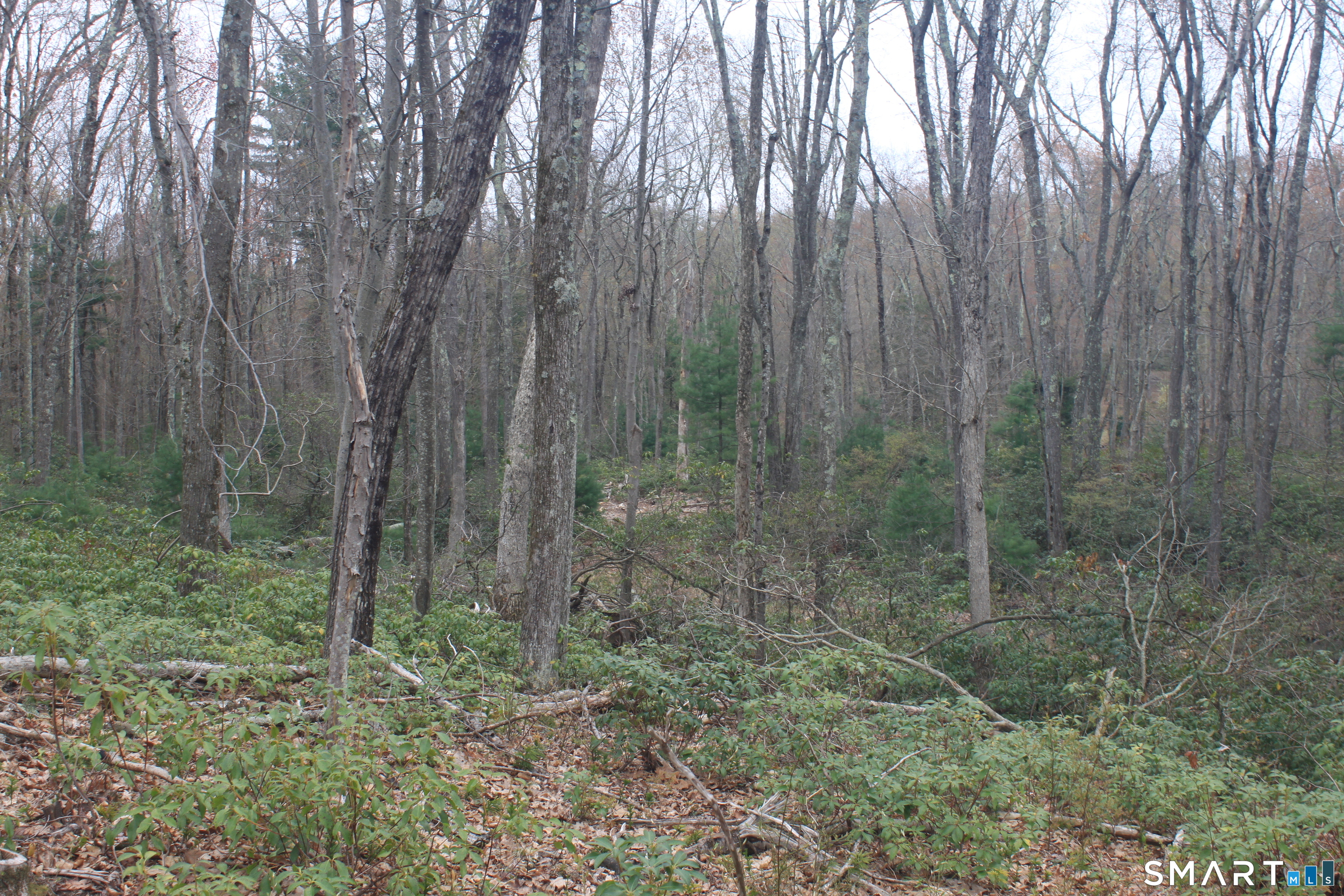 Nepaug Road Burlington CT 06013