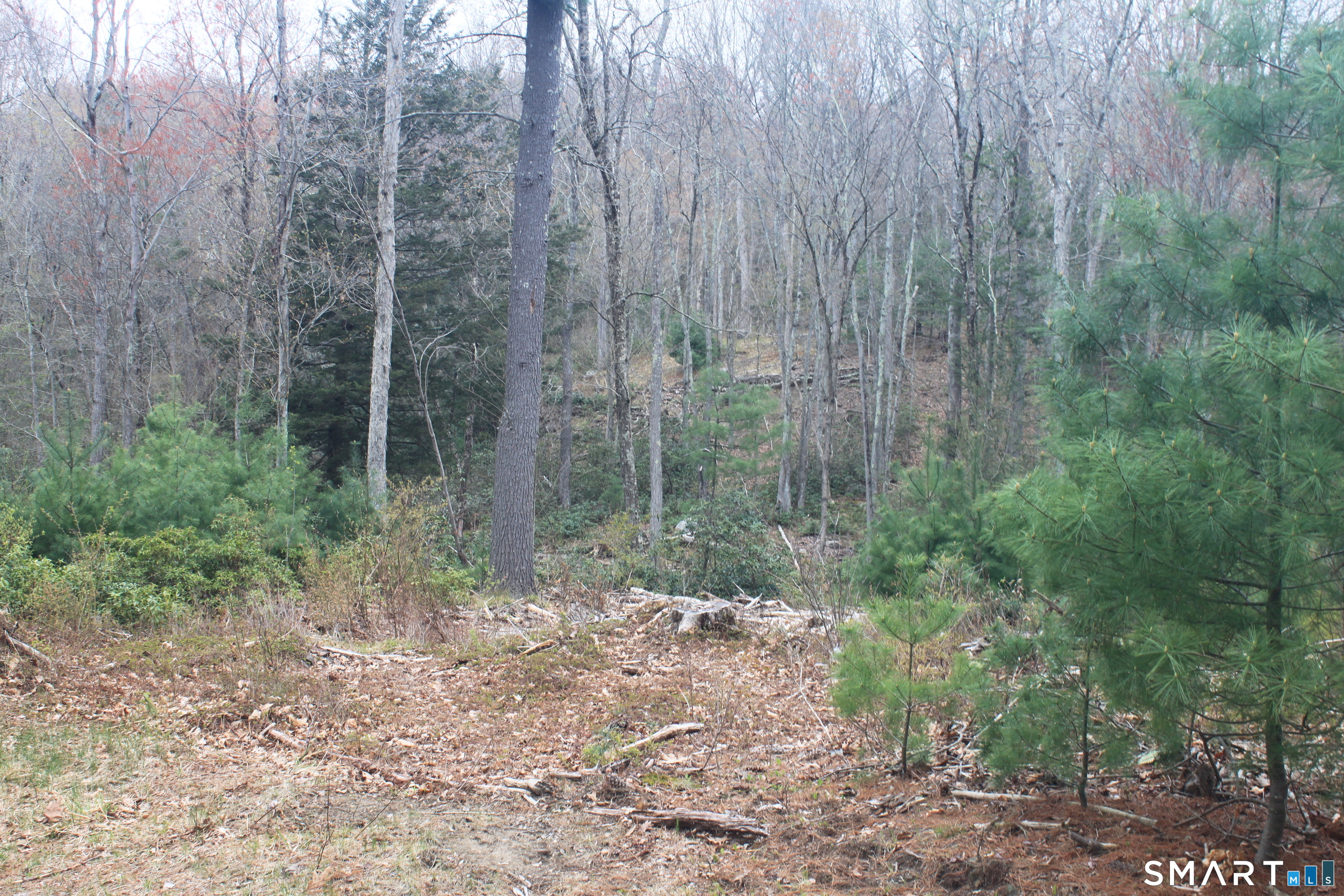 Nepaug Road Burlington CT 06013