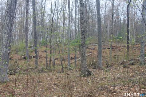 Nepaug Road Burlington CT 06013