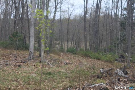 Nepaug Road Burlington CT 06013