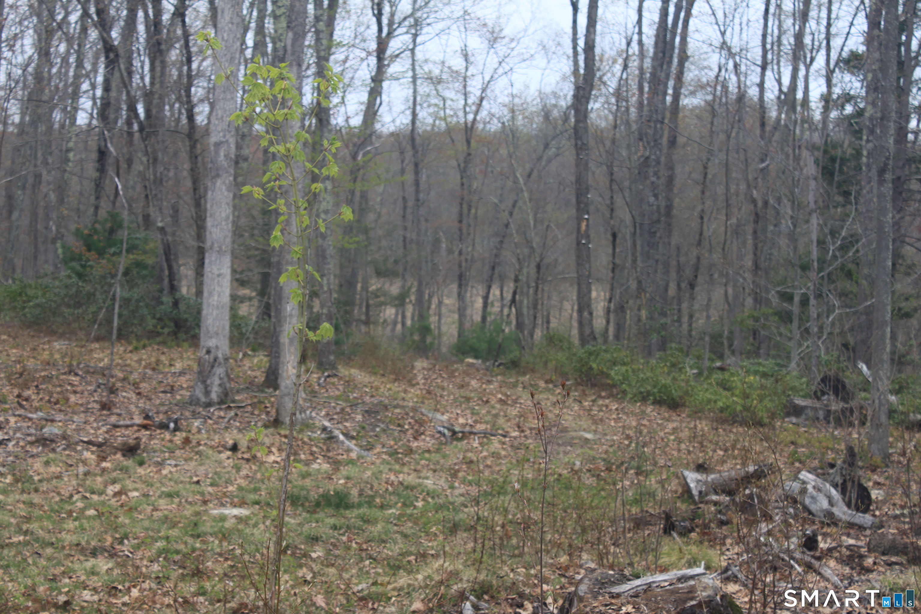 Nepaug Road Burlington CT 06013