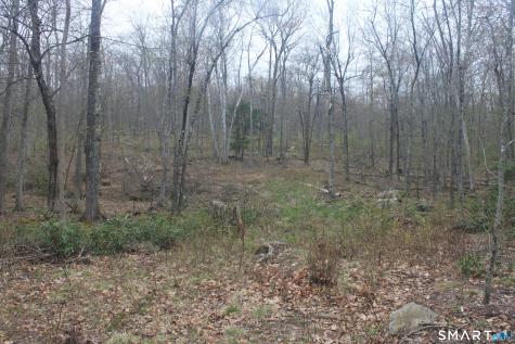 Nepaug Road Burlington CT 06013