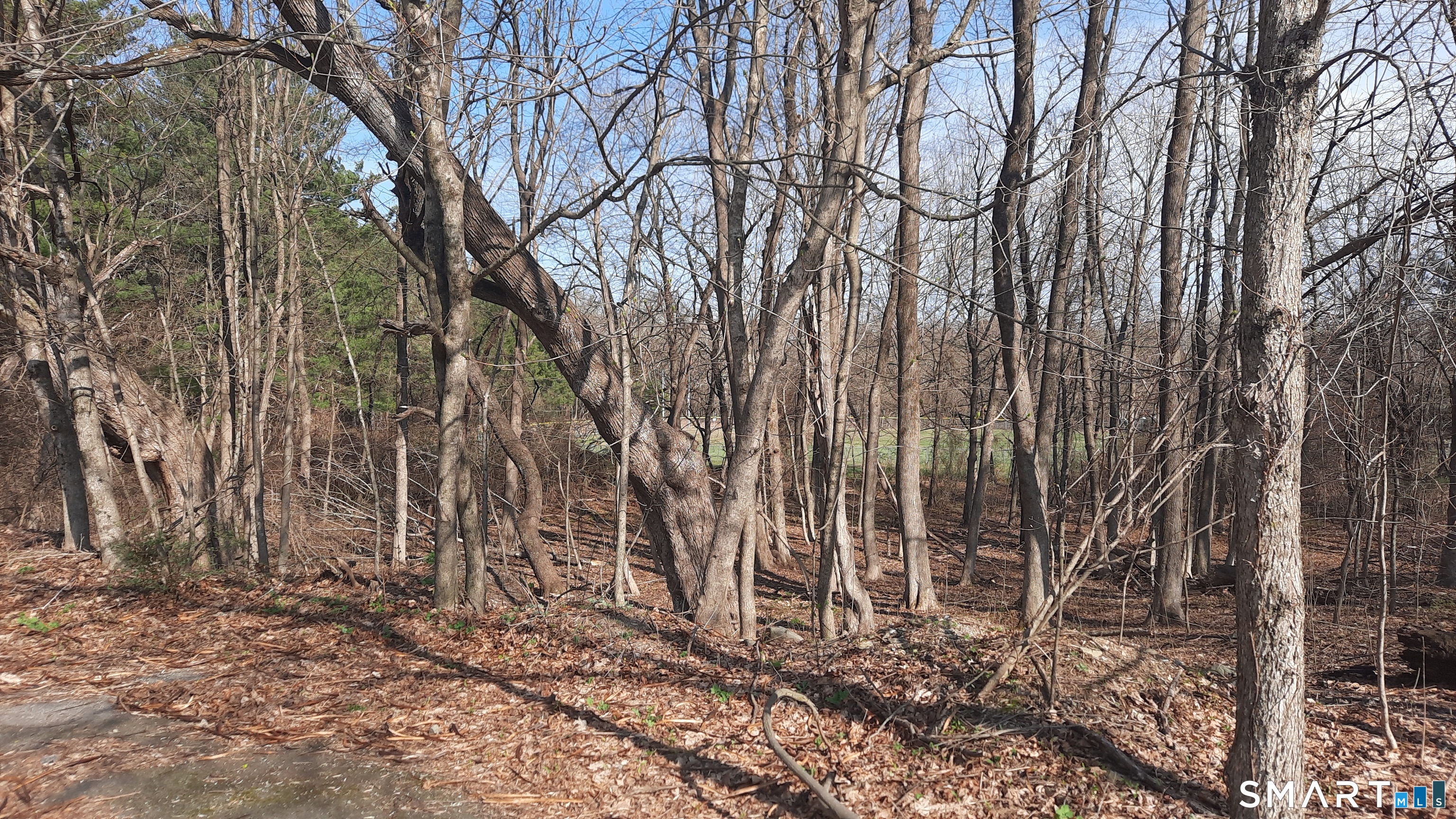 Wauregan Road Brooklyn CT 06234