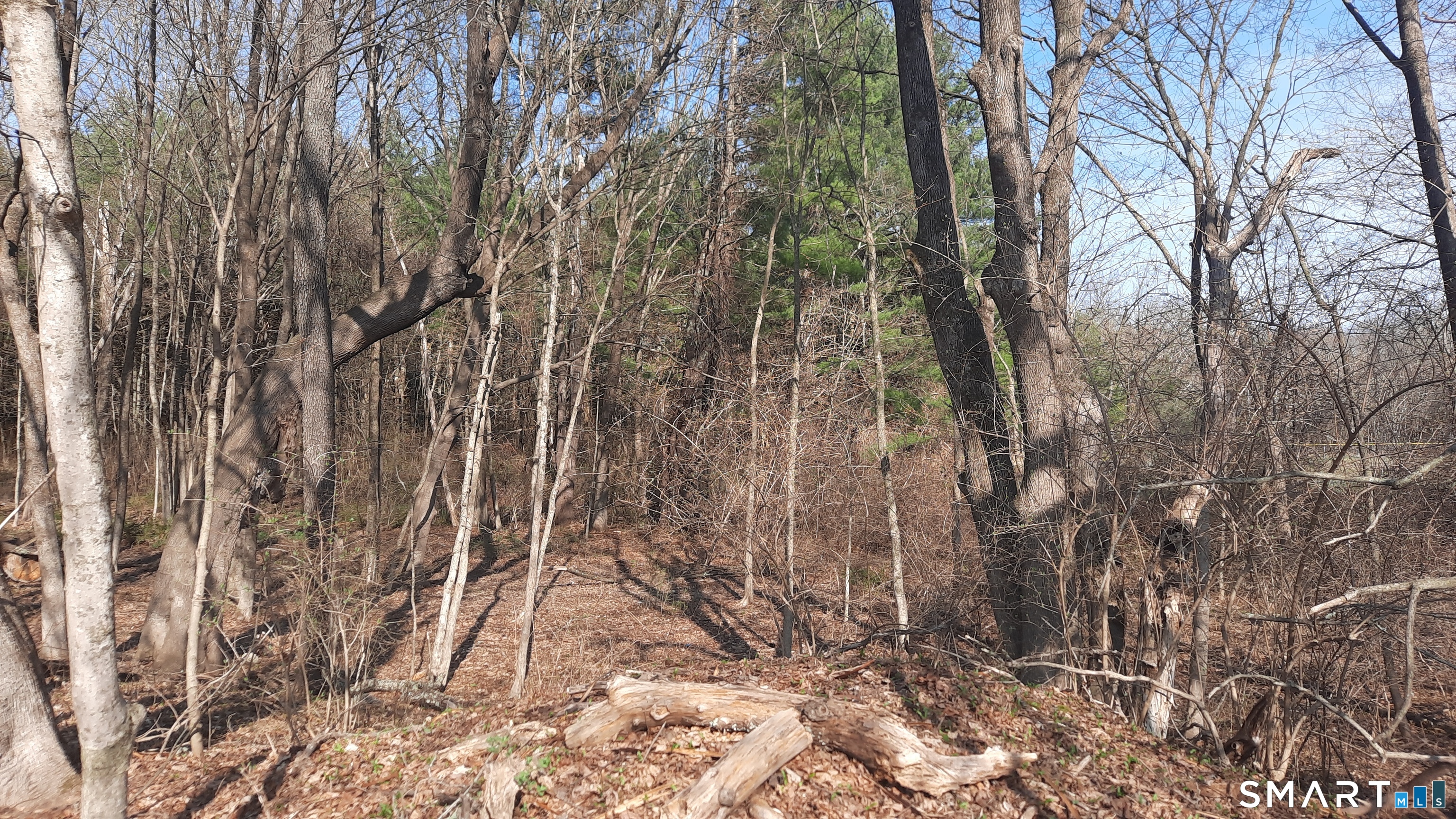 Wauregan Road Brooklyn CT 06234