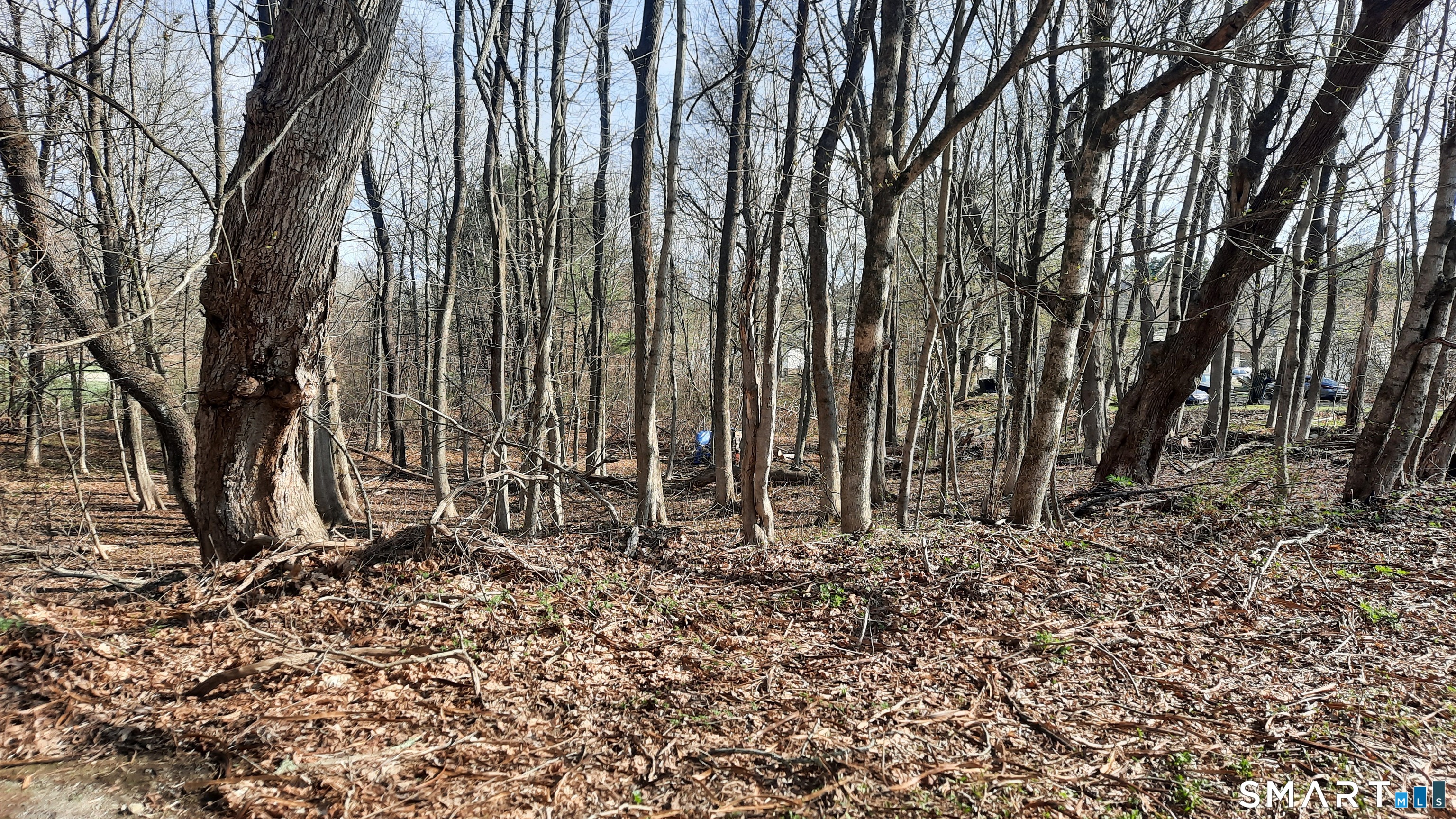 Wauregan Road Brooklyn CT 06234