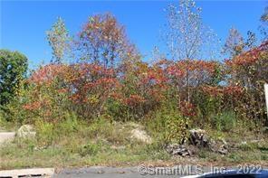 28 Hill Farm Way Barkhamsted CT 06063