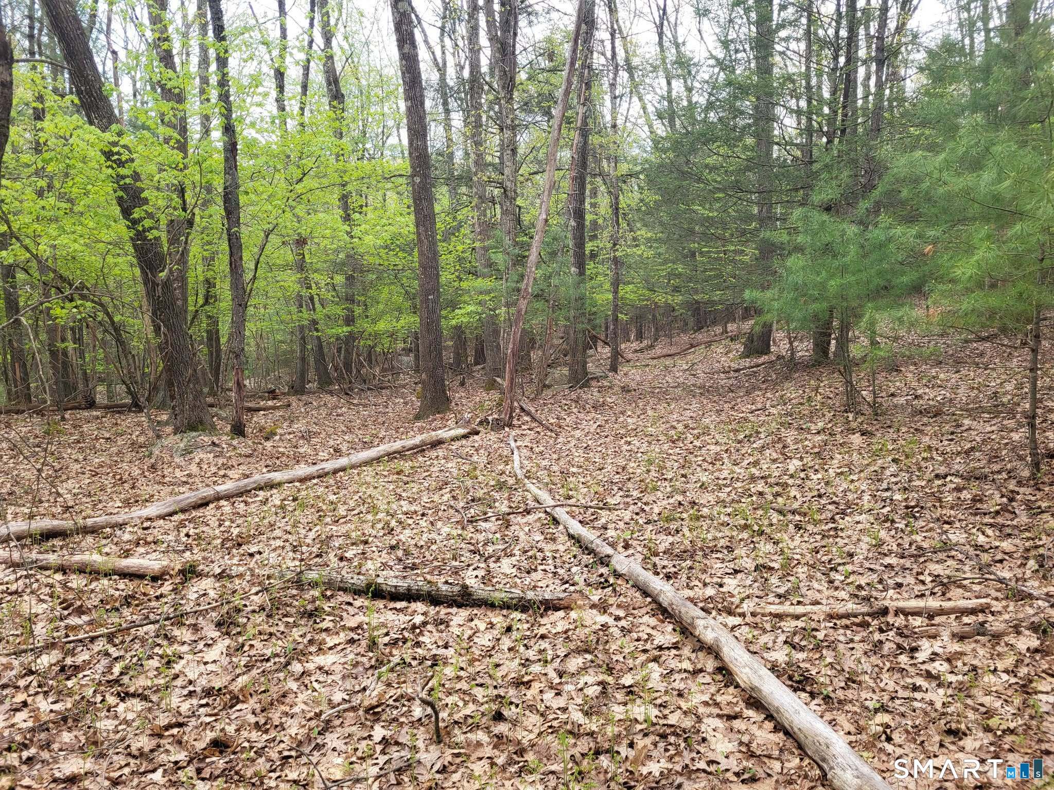 00 Pole Bridge Road Woodstock CT 06281