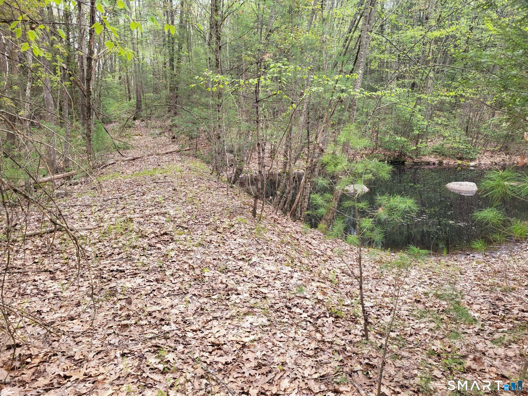 00 Pole Bridge Road Woodstock CT 06281
