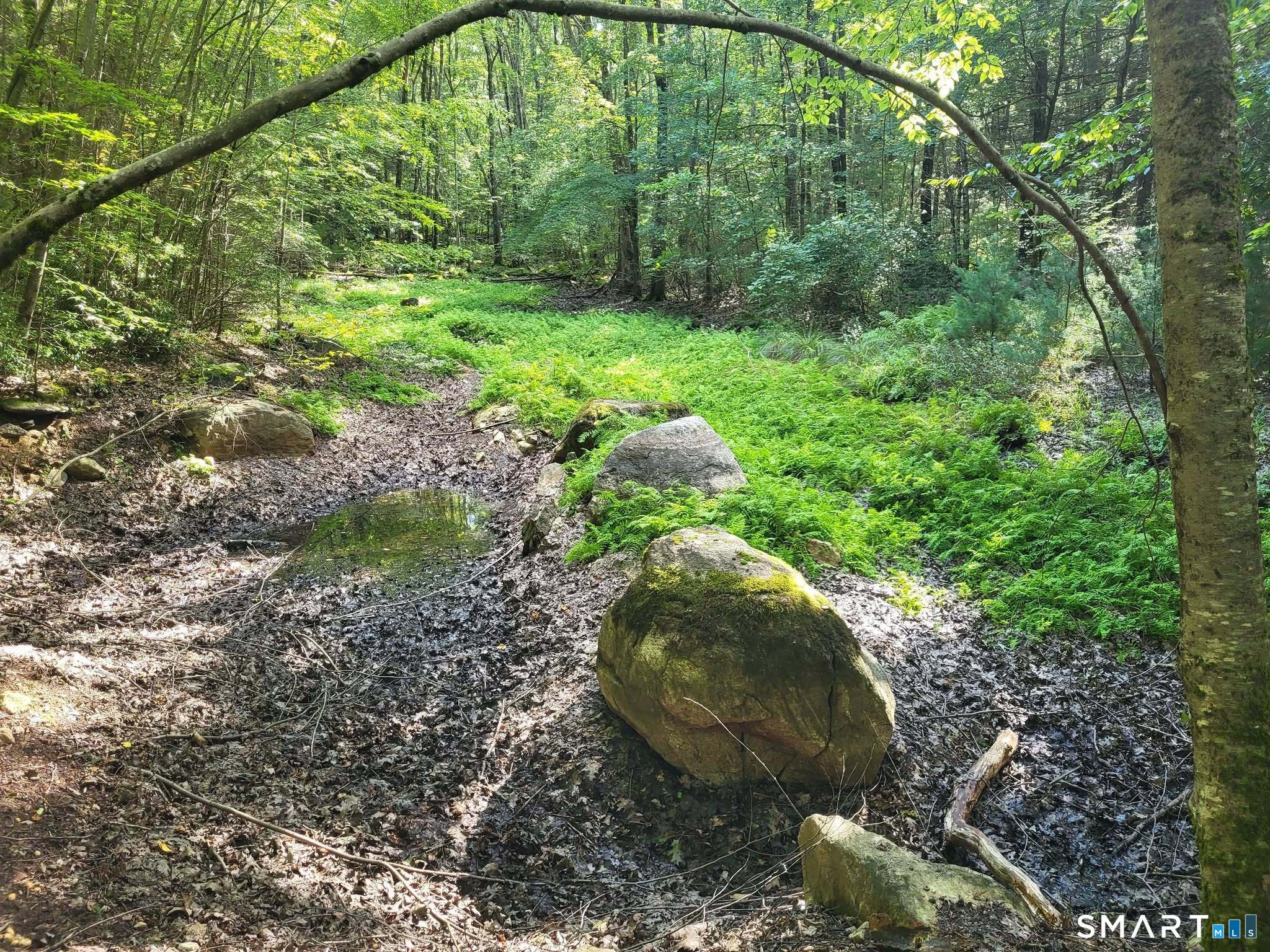 00 Pole Bridge Road Woodstock CT 06281