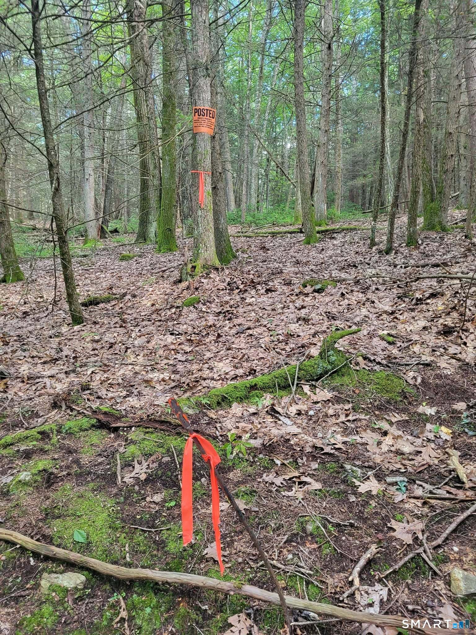 00 Pole Bridge Road Woodstock CT 06281