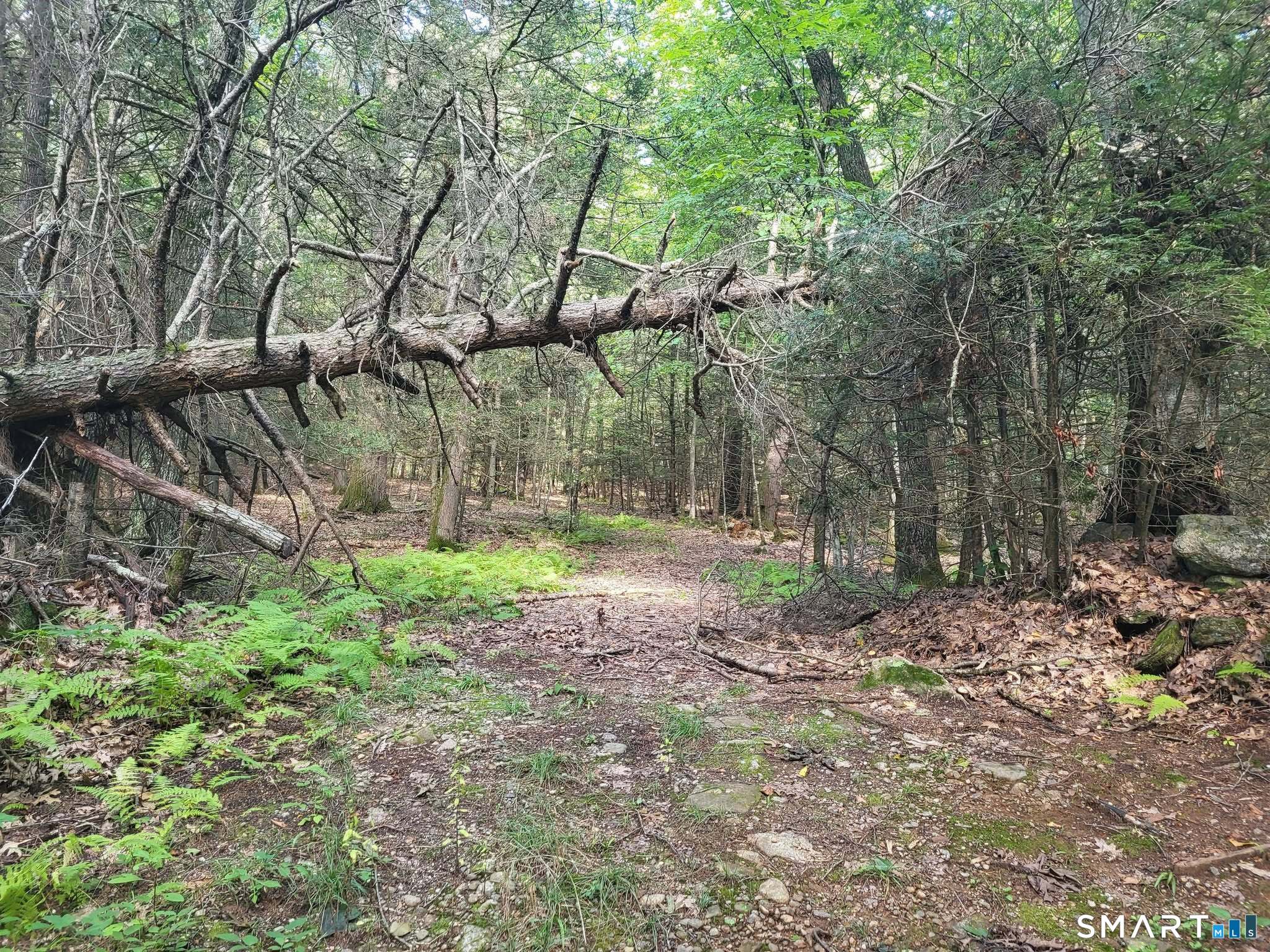00 Pole Bridge Road Woodstock CT 06281
