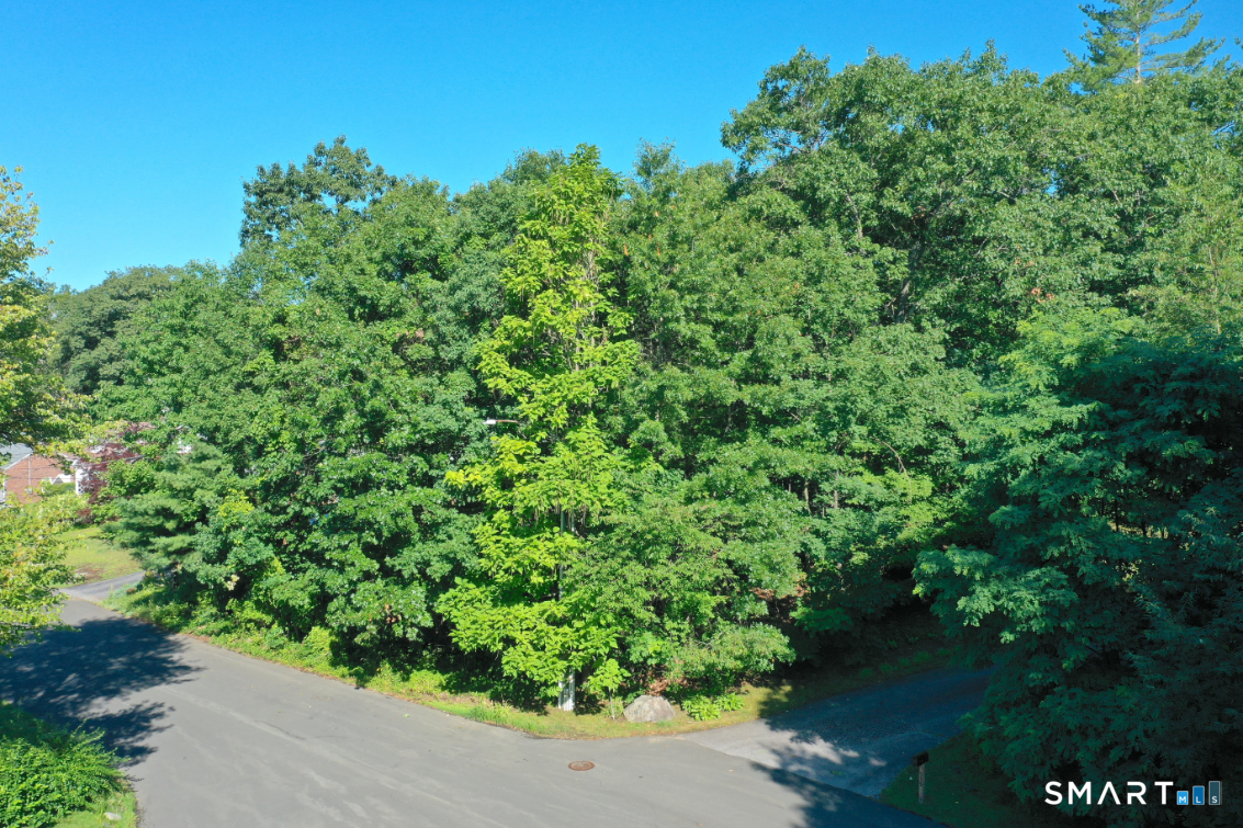 Brightwood Avenue Torrington CT 06790