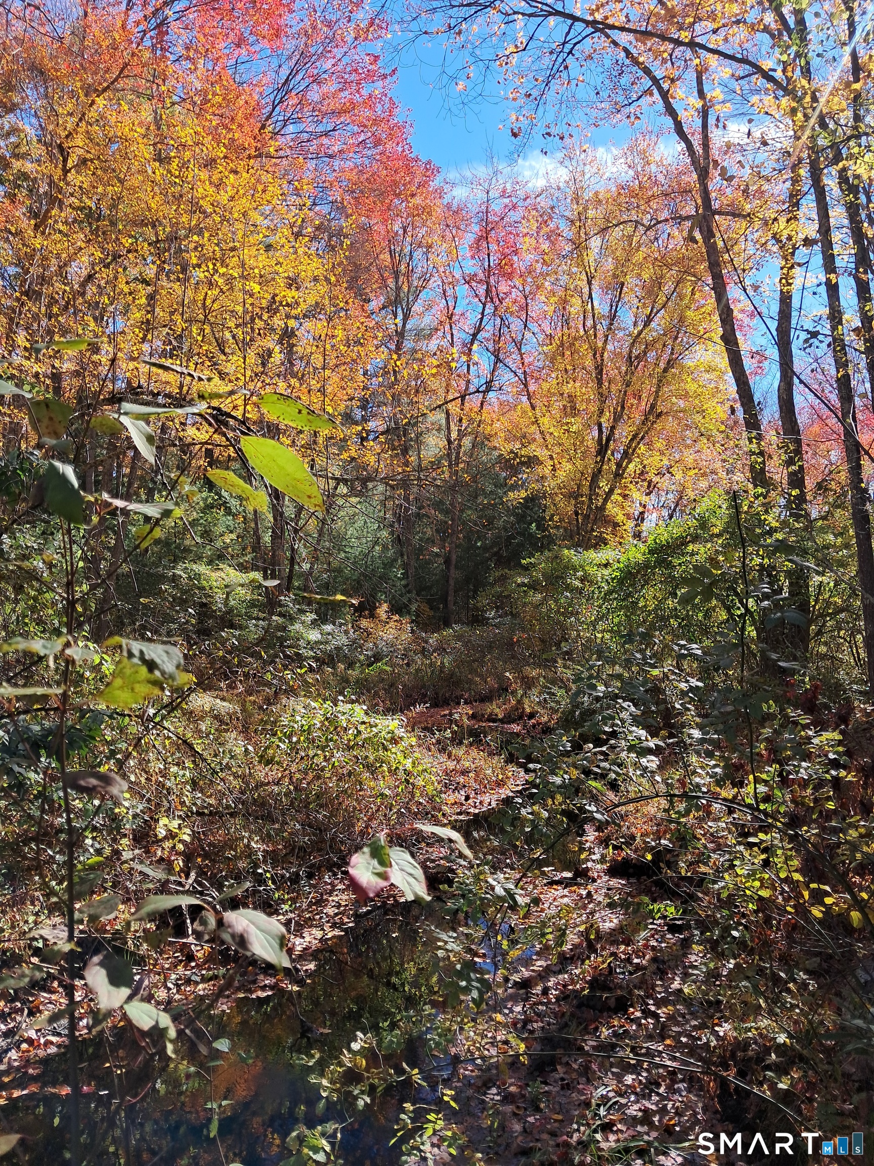 Crystal Lake Road Ellington CT 06029