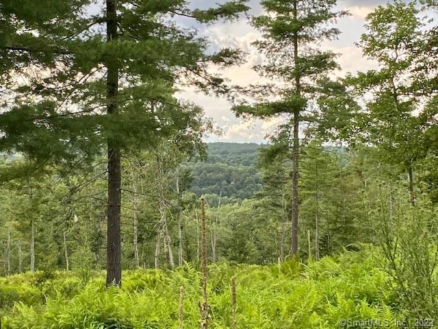 64 River Road Willington CT 06279