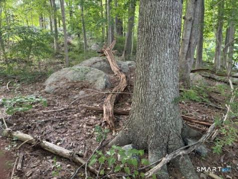 2 Kimmick Road Old Lyme CT 06371