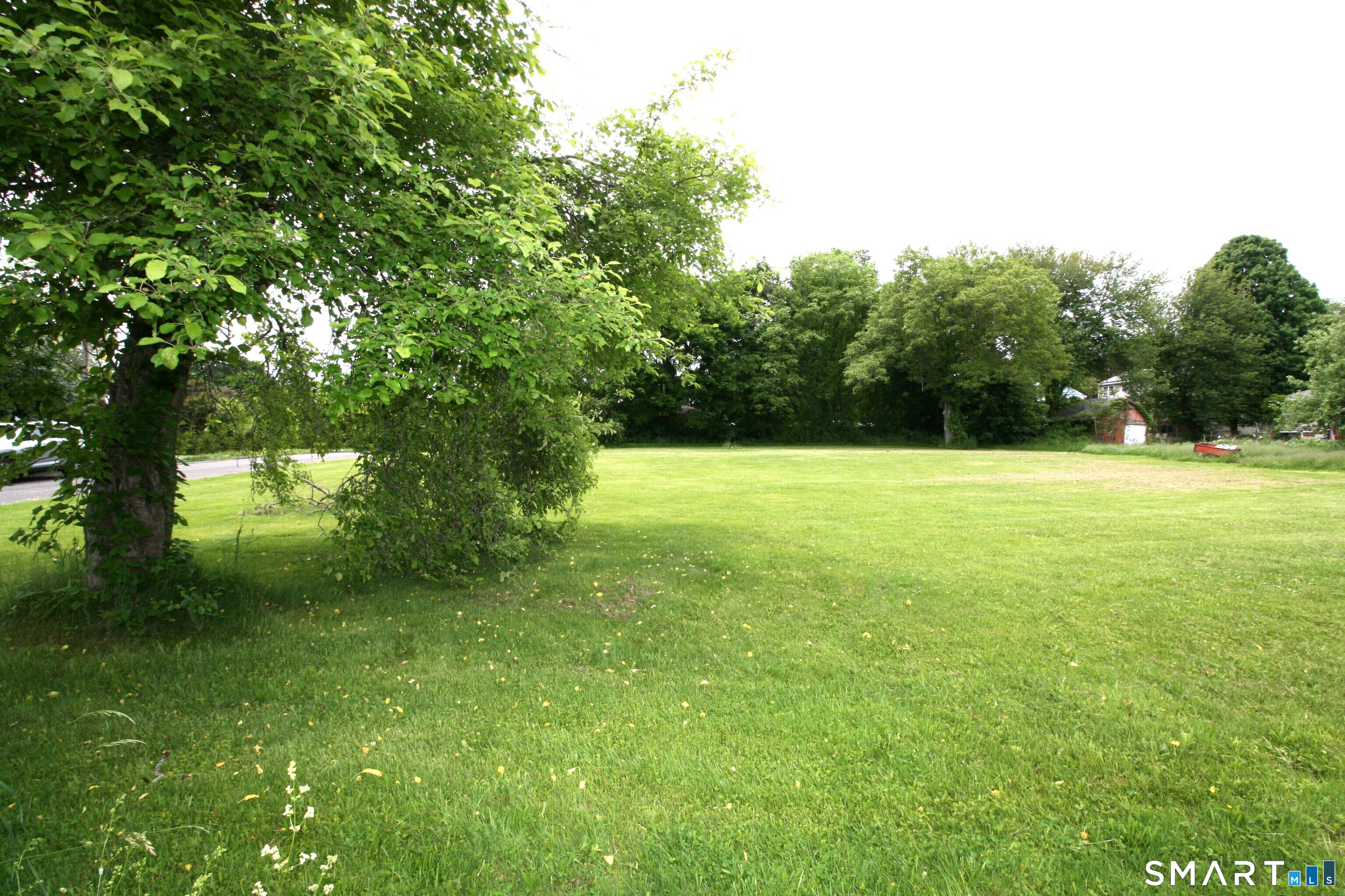 Claudia Lane Wolcott CT 06716