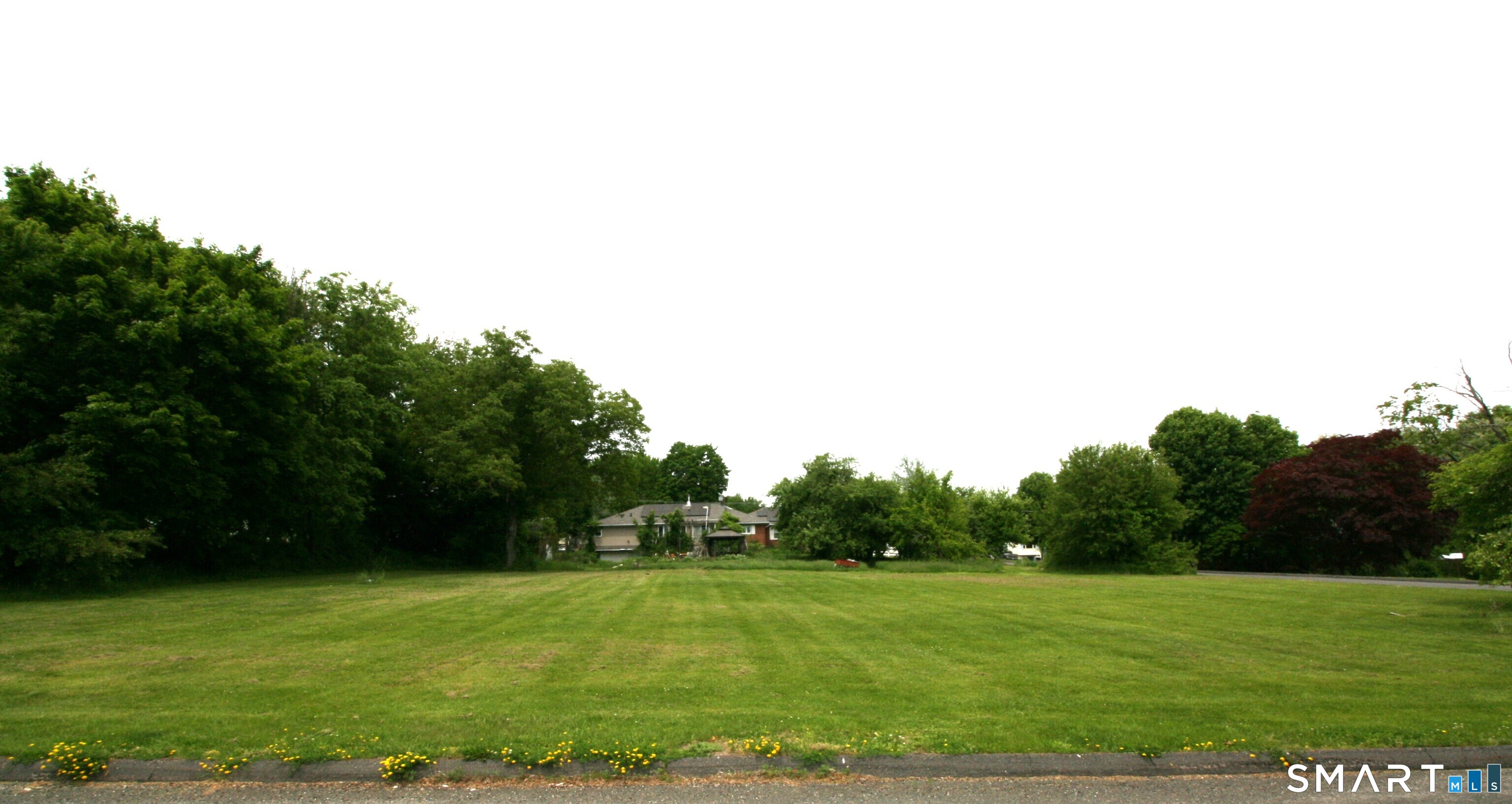 Claudia Lane Wolcott CT 06716