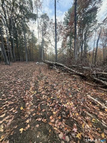 108 Lustig Road Ashford CT 06278