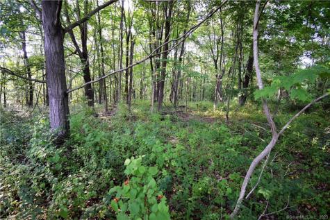 LOT #22 Kenneth Circle Guilford CT 06437