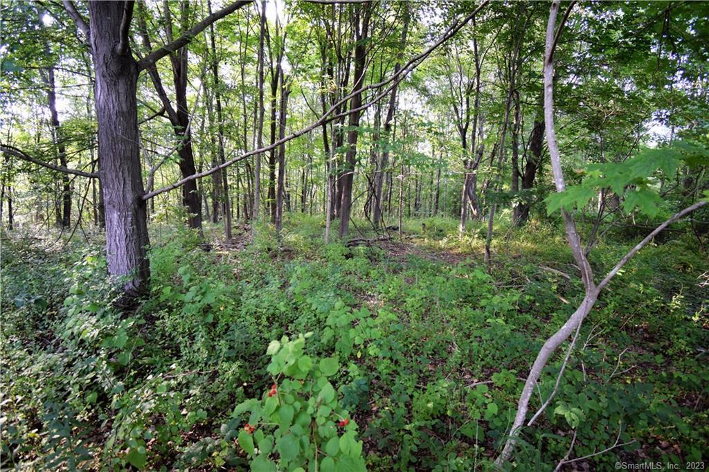 LOT #22 Kenneth Circle Guilford CT 06437