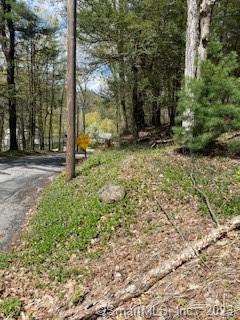 Old Colony Road Norfolk CT 06058