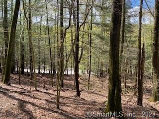 Old Colony Road Norfolk CT 06058