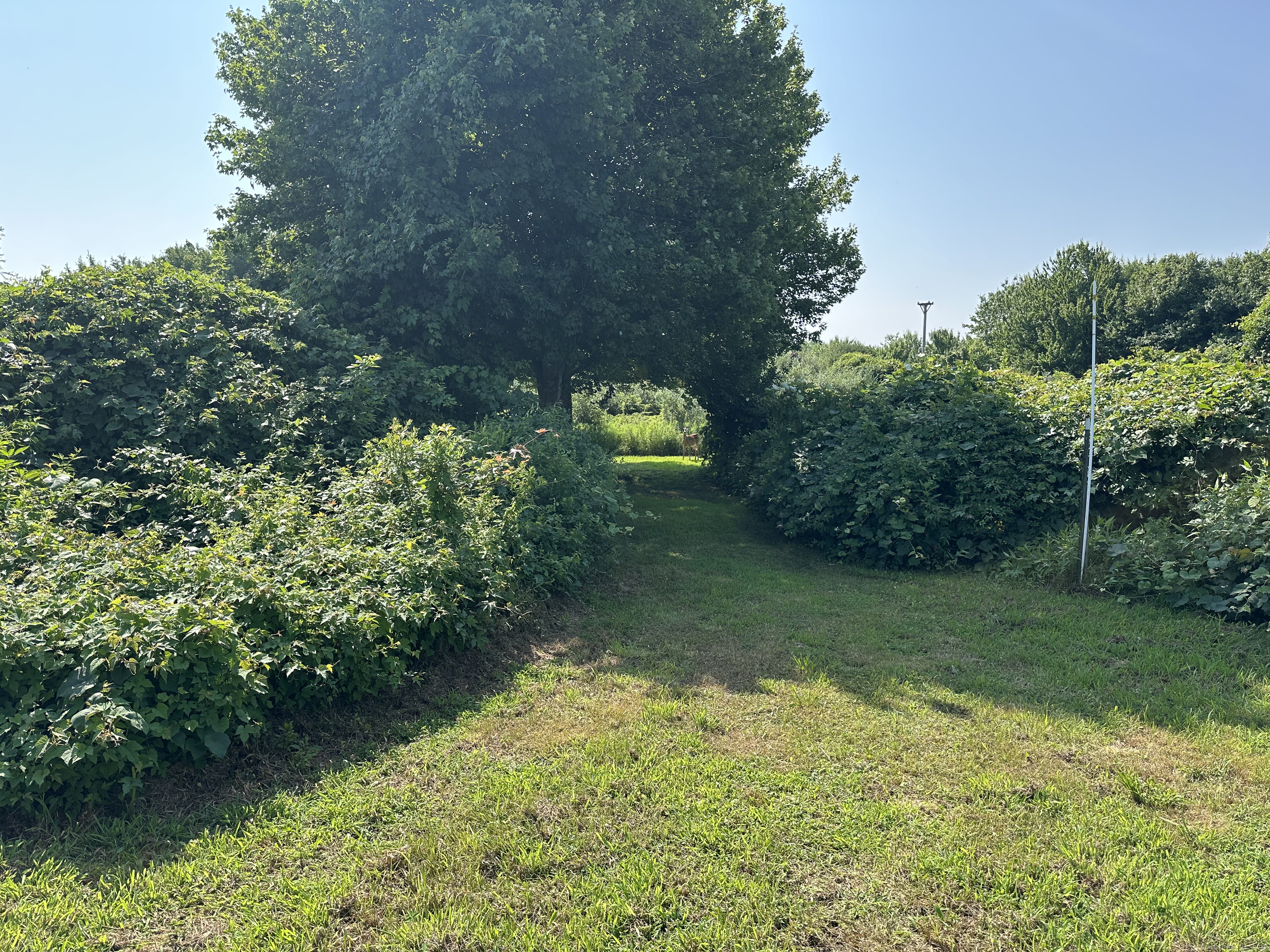 Smail Street Stonington CT 06378