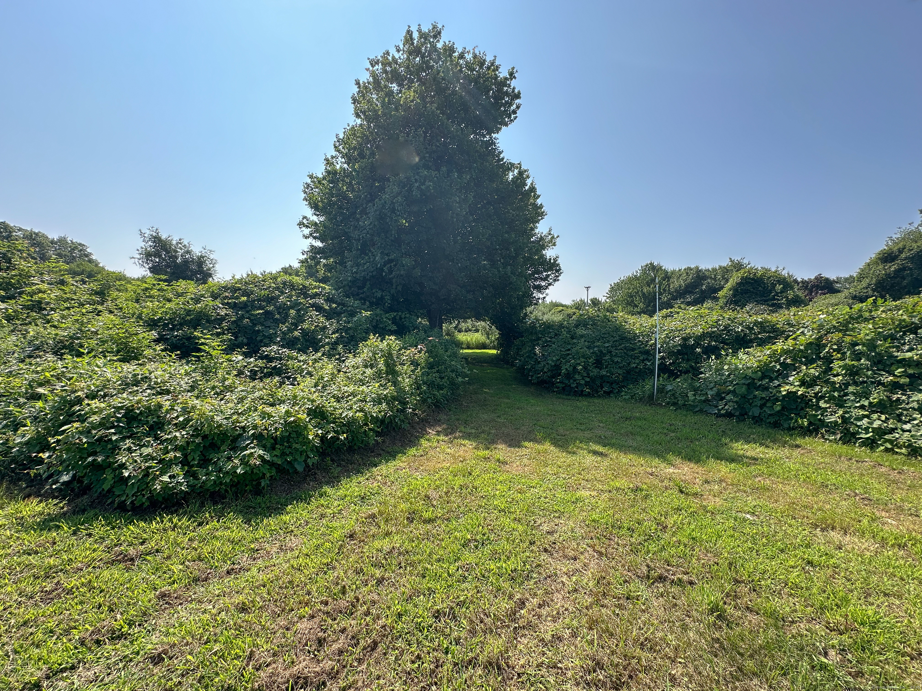 Smail Street Stonington CT 06378