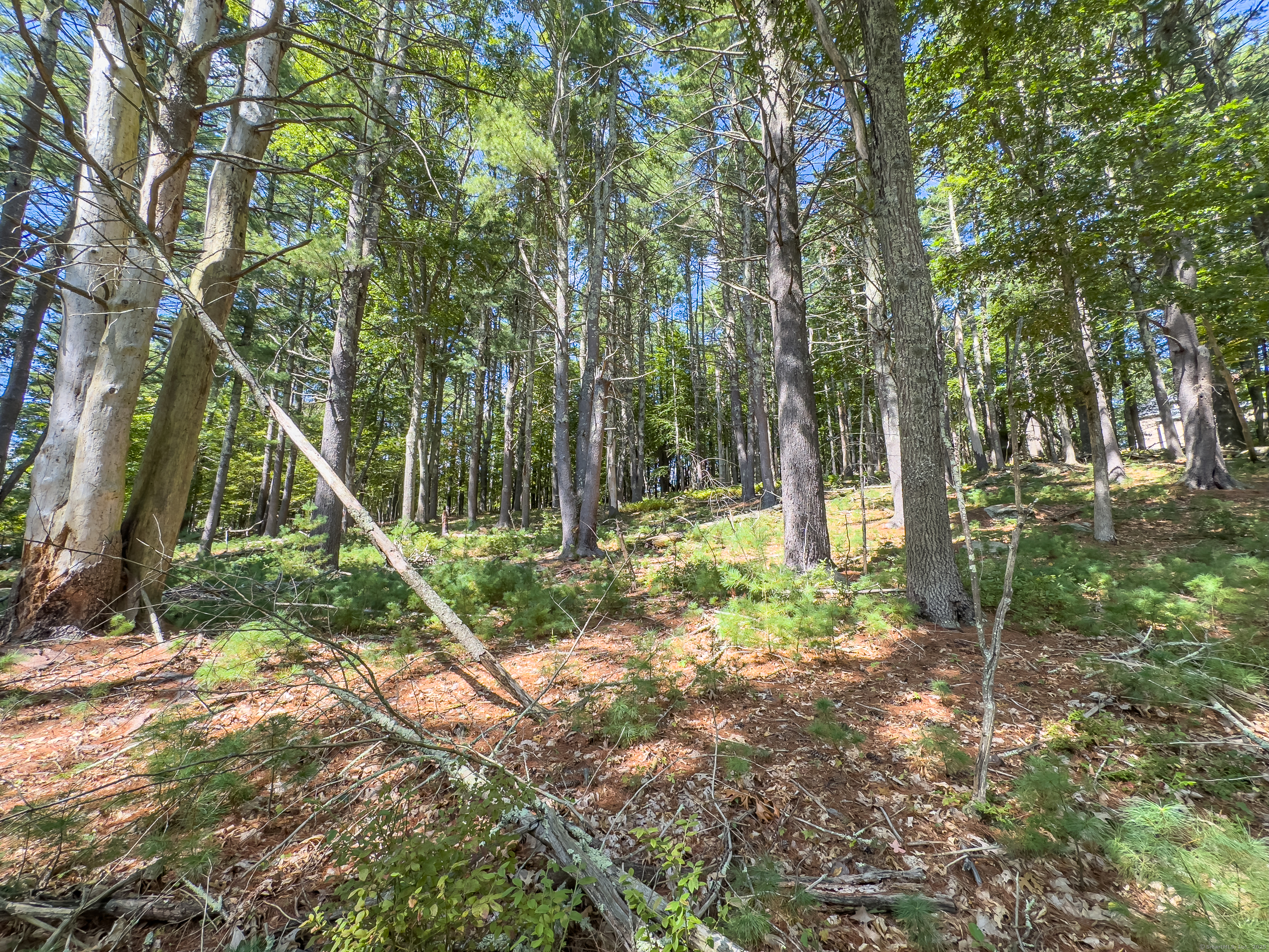 49 Stone Road Killingly CT 06241