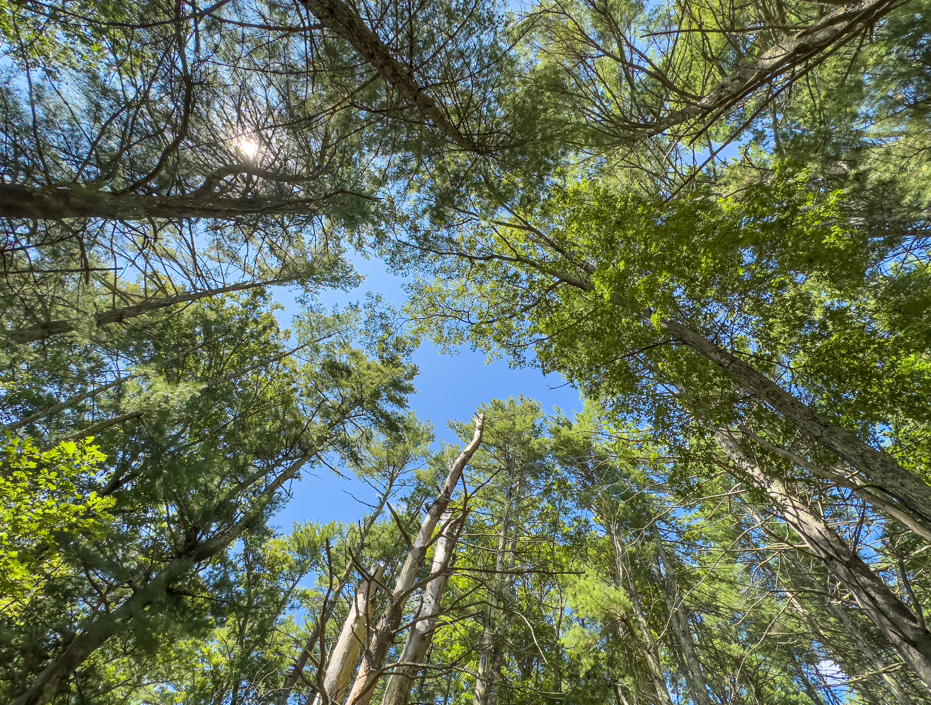 49 Stone Road Killingly CT 06241