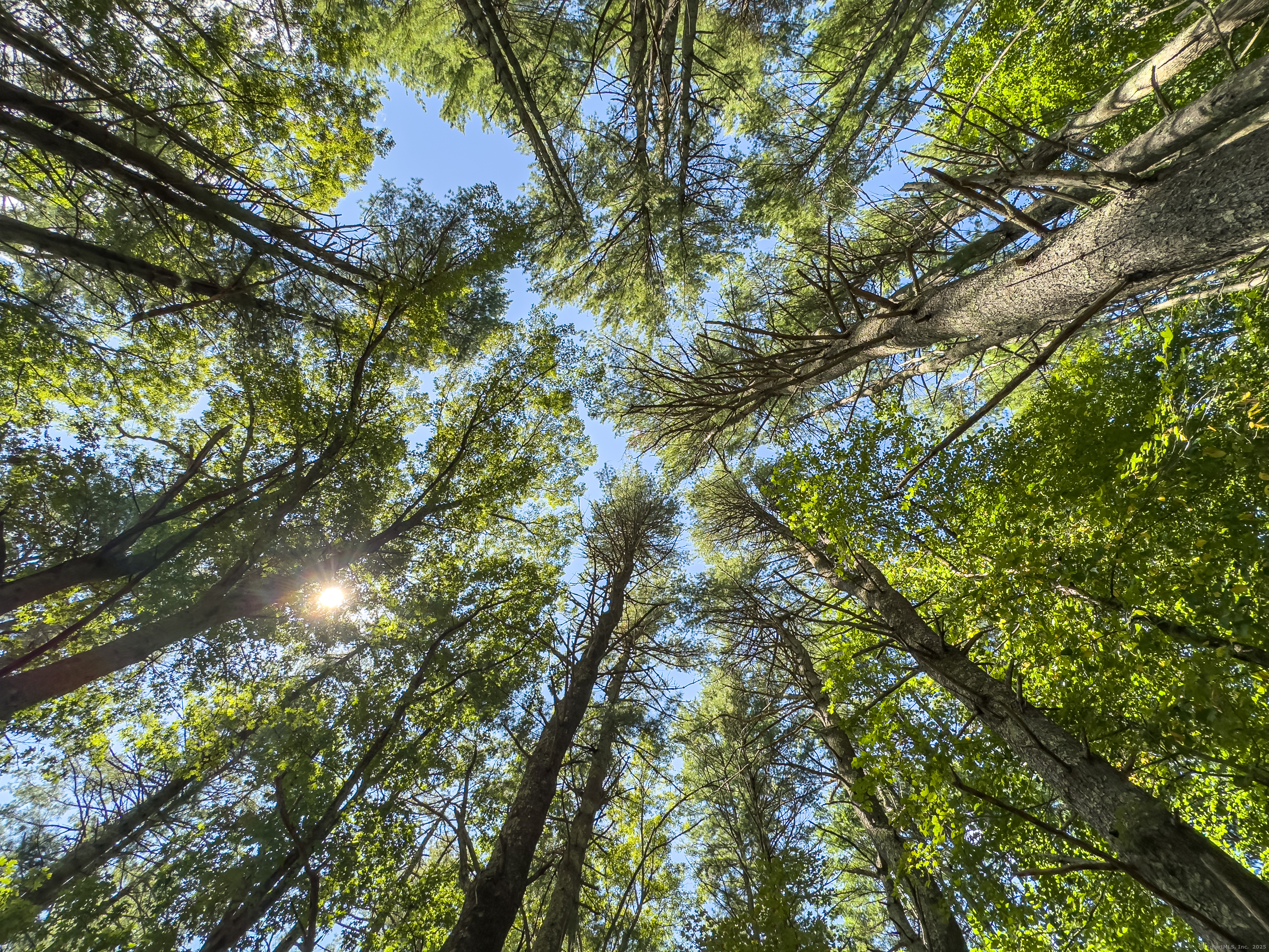 49 Stone Road Killingly CT 06241