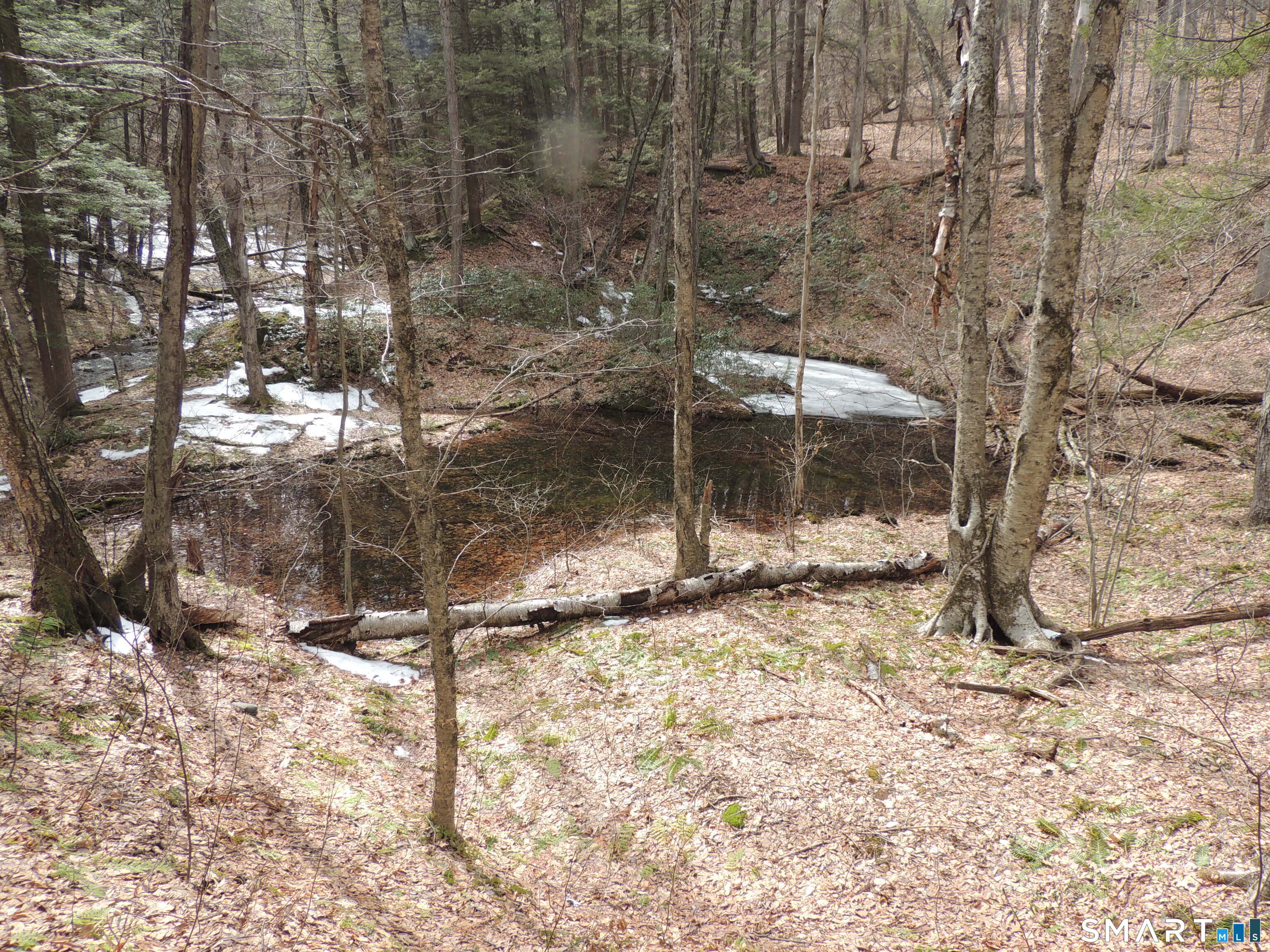 Salisbury CT 06068