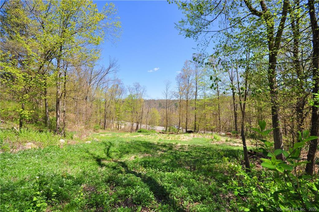 263 Canton Road Burlington CT 06013
