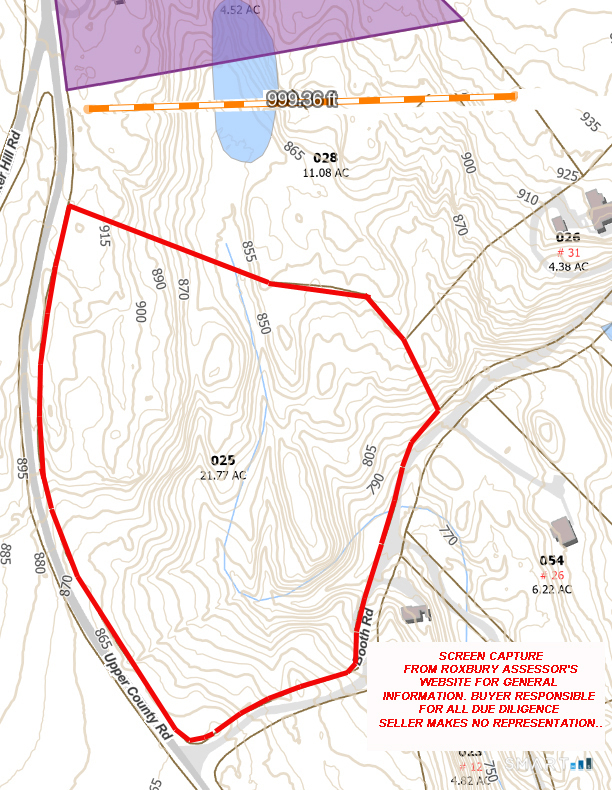 Dorothy Diebold Lane Roxbury CT 06783