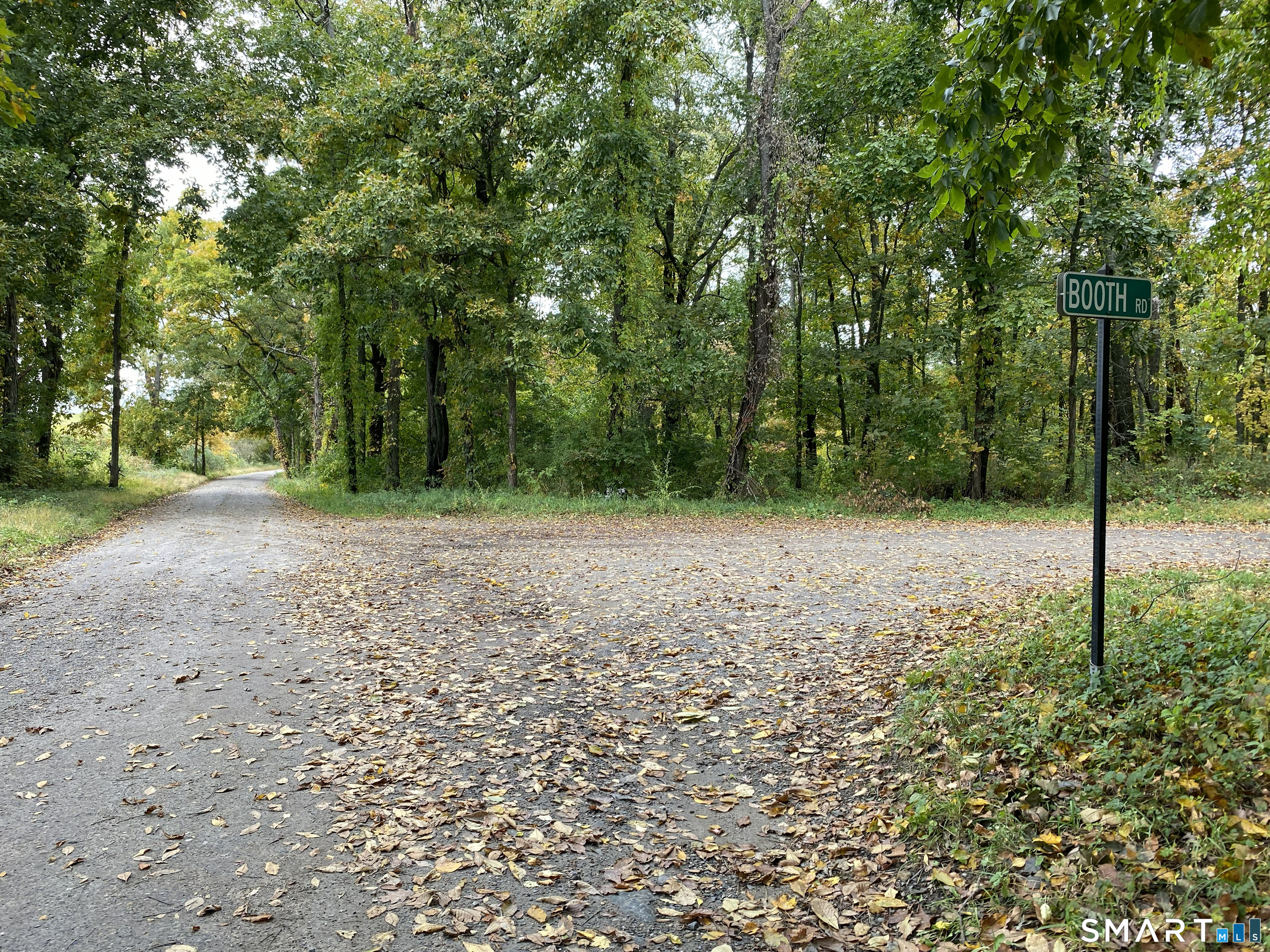 Dorothy Diebold Lane Roxbury CT 06783