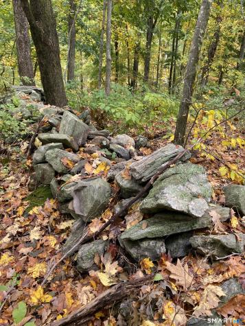Dorothy Diebold Lane Roxbury CT 06783