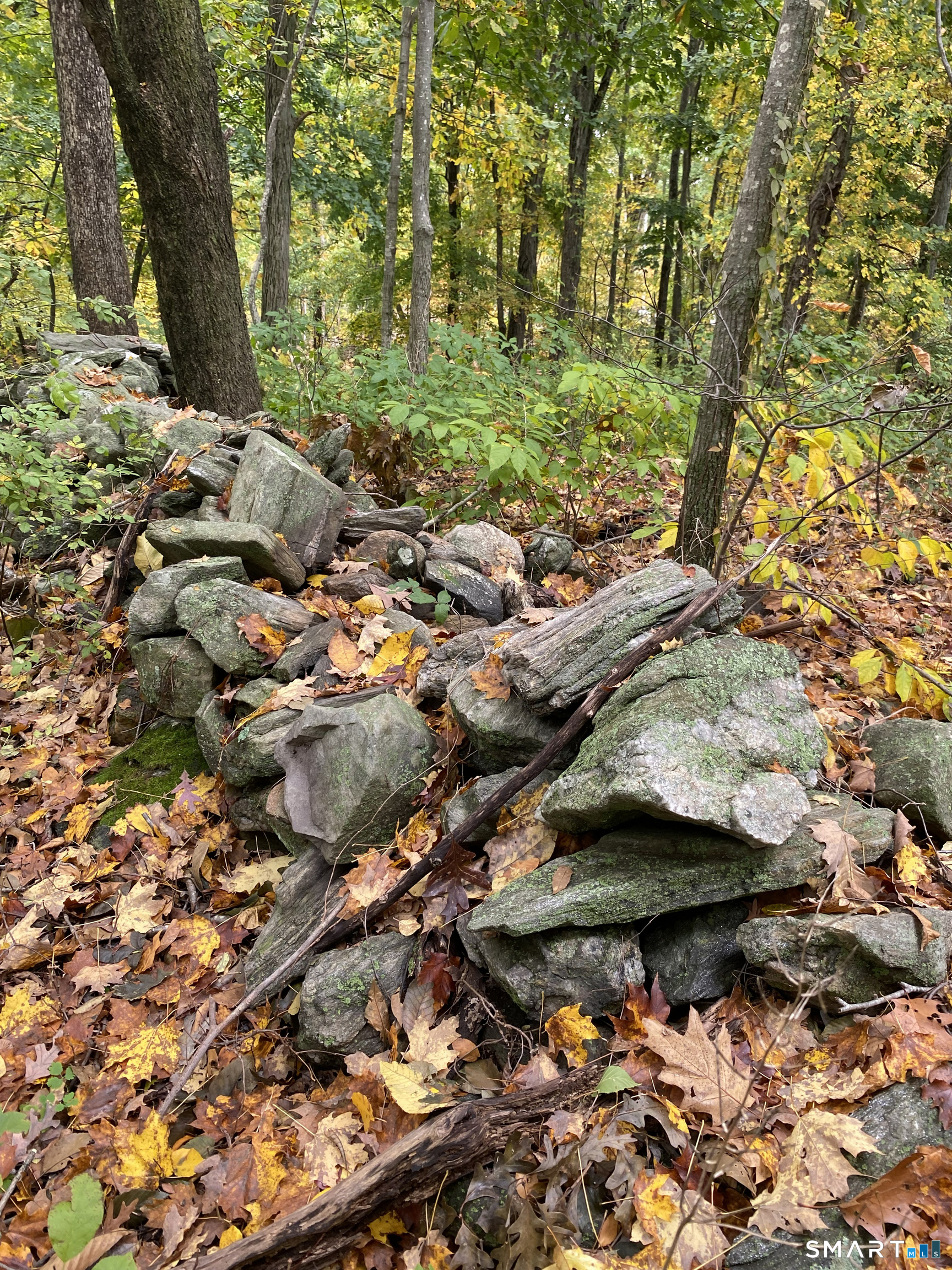 Dorothy Diebold Lane Roxbury CT 06783